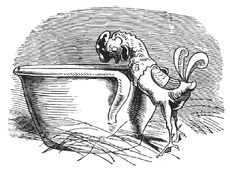 Hahnenkampf sw 01.jpg